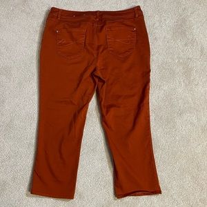 CATO EST. 1946 denim contemporary, ankle cropped colored trousers size 16